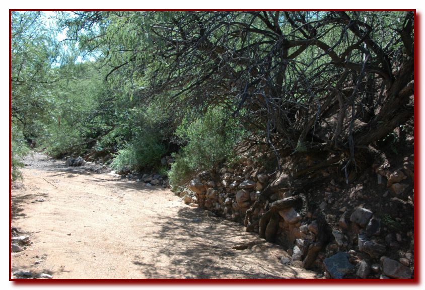 Courtland<br>Stream bed