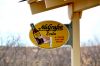 Filename=NuGrape_01.JPG
Filesize=388KB
Dimensions=1000x664
Date added=Feb 07, 2009 NuGrape_01.JPG
